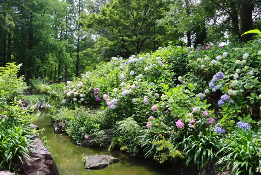 長居植物園優惠票 長居植物園優惠票