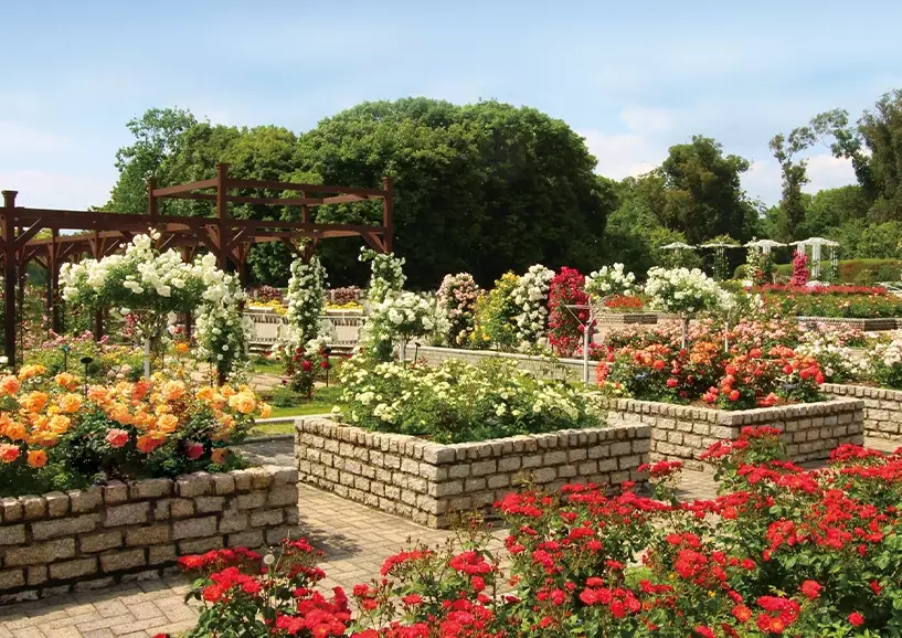 長居植物園 門票 長居植物園 門票
