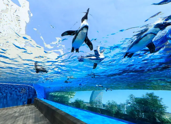 太陽城水族館 交通方式 太陽城水族館 交通方式