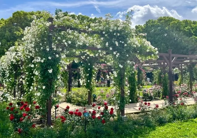 長居植物園 評論 長居植物園 評論