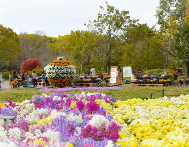 長居植物園 門票 長居植物園 門票