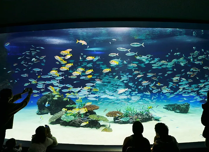 太陽城水族館 優惠票 太陽城水族館 優惠票