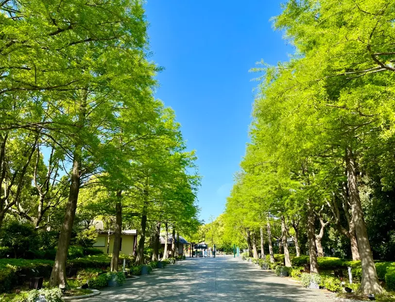 長居植物園 評論 長居植物園 評論