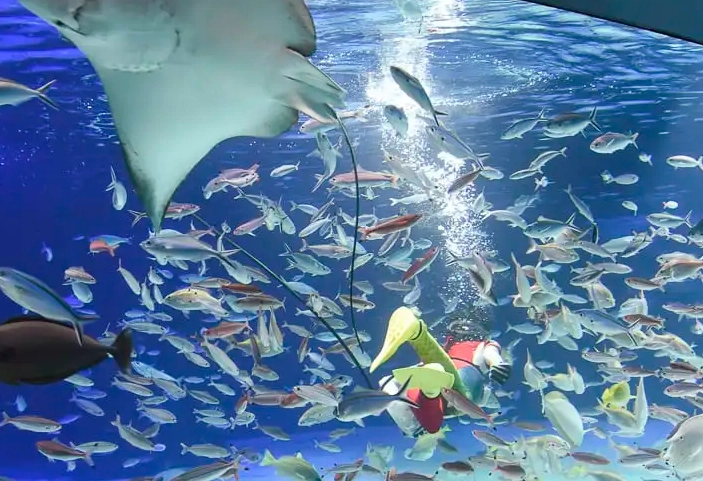 太陽城水族館 交通方式 太陽城水族館 交通方式