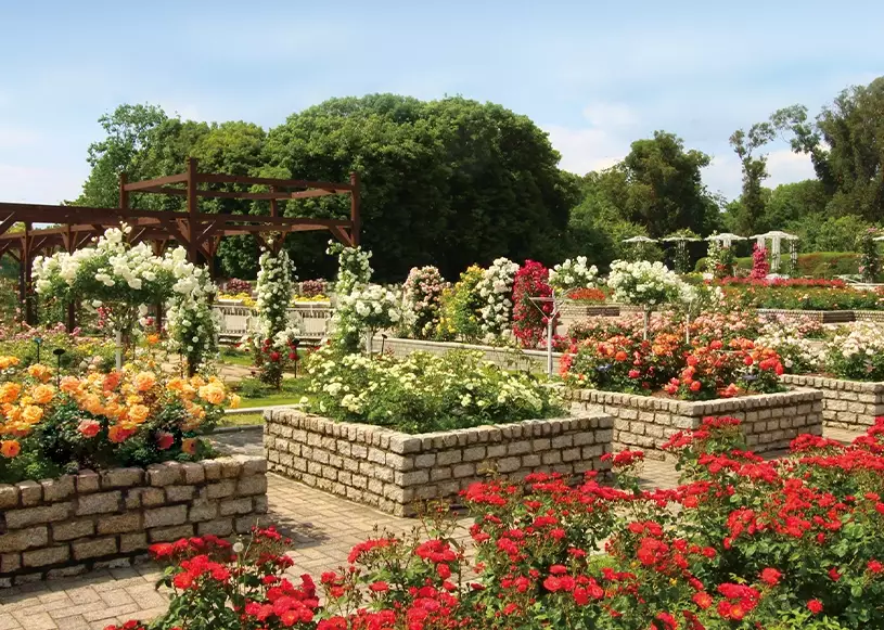 長居植物園門票 長居植物園門票