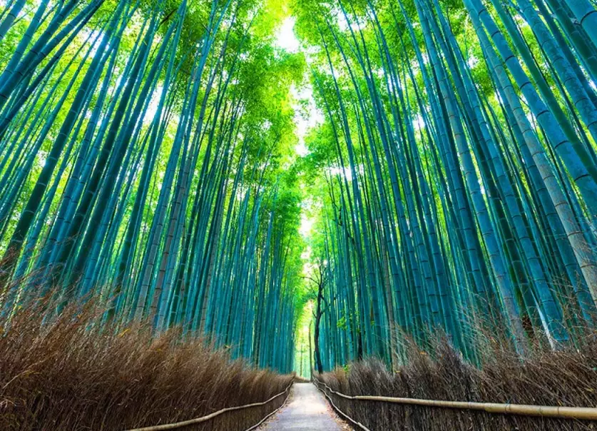 京都住宿推薦 京都住宿推薦