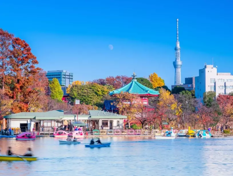 東京5天4夜行程 東京5天4夜行程