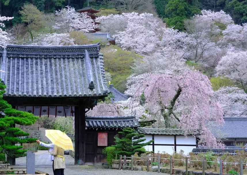 鎌倉旅遊攻略 鎌倉旅遊攻略