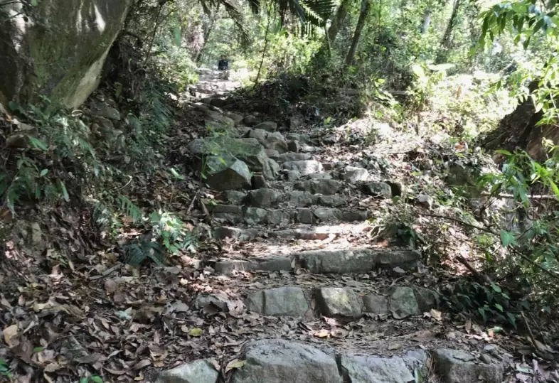 谷關七雄東卯山 谷關七雄東卯山
