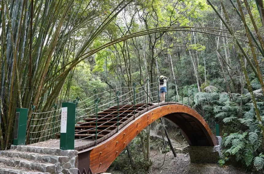 涩水森林步道难度 涩水森林步道难度