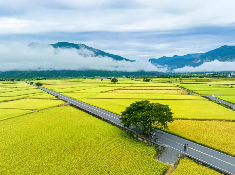 台灣必去景點 台灣必去景點