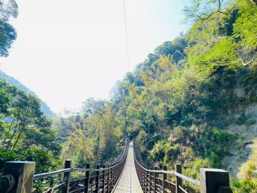 竹坑溪步道 竹坑溪步道