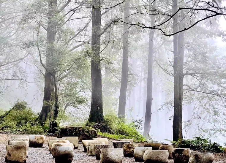 水山療癒步道 水山療癒步道