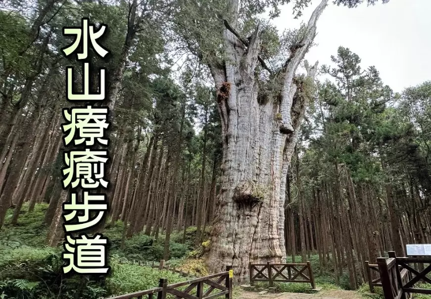 水山步道走多久 水山步道走多久