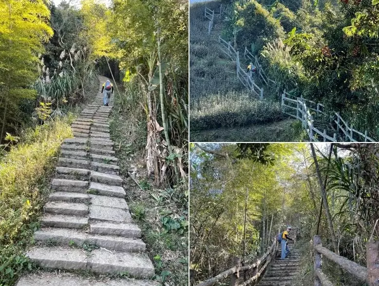 孝子路步道 孝子路步道