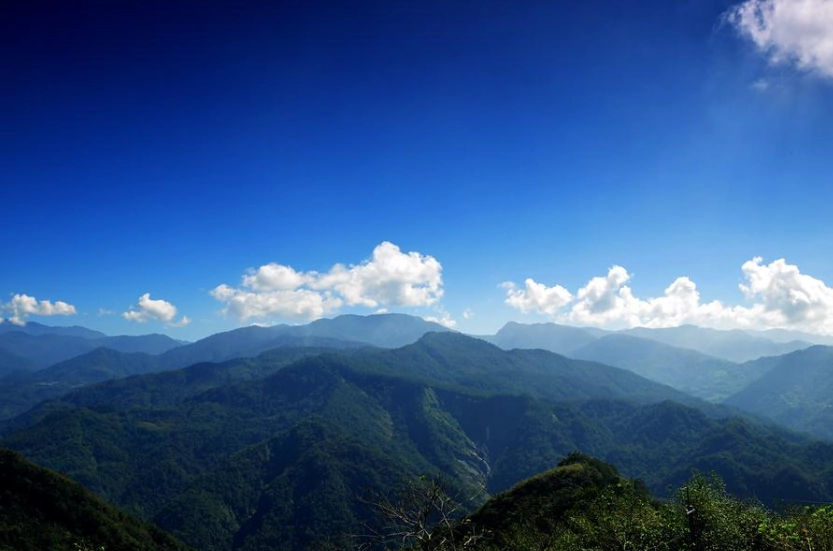 阿里山 山路 駕駛