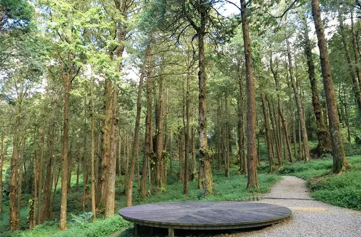 水山步道走多久 水山步道走多久