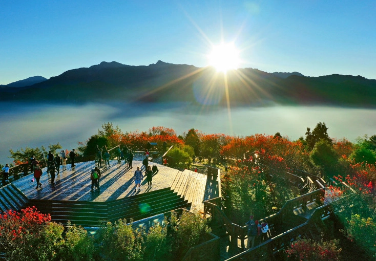 阿里山 開車 危險