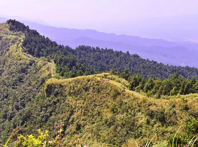 五分山步道 五分山步道