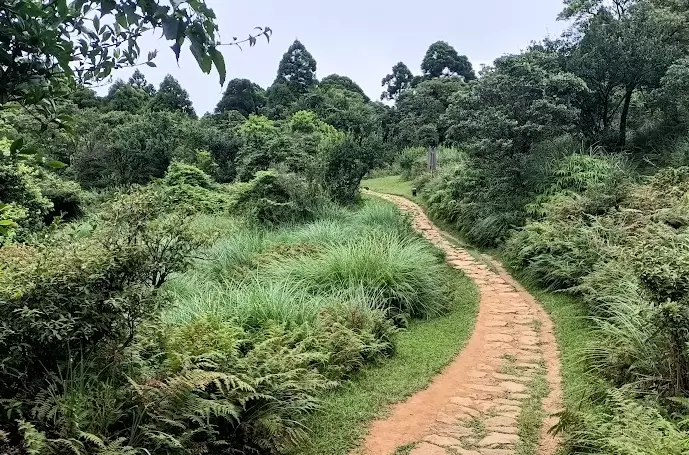陽明山東西大縱走
