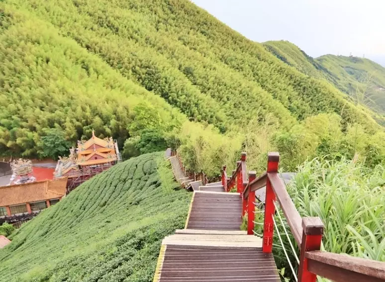 嘉義登山步道 嘉義登山步道