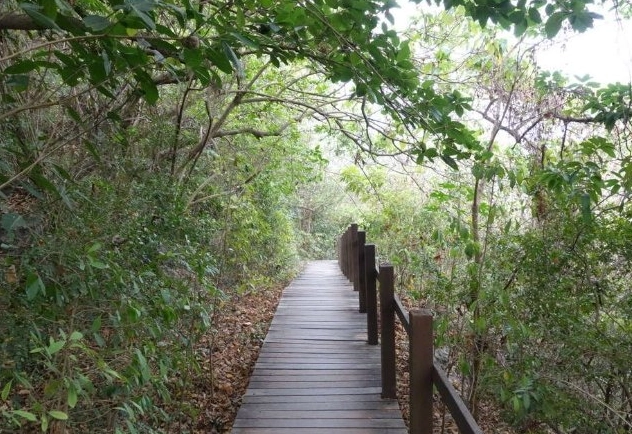 半屏山登山步道 半屏山登山步道