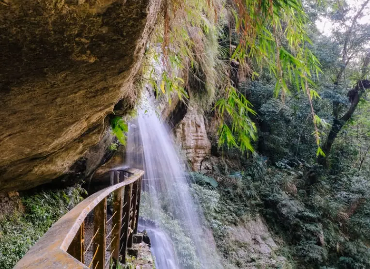 南投竹坑溪步道 南投竹坑溪步道