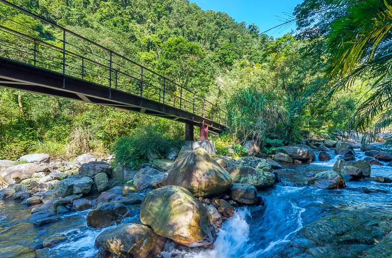 太平山森林遊樂區 太平山森林遊樂區