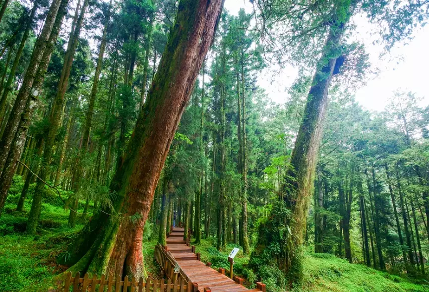 台灣旅遊景點推薦 台灣旅遊景點推薦