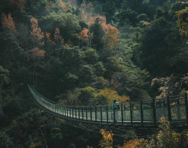 瓦拉米步道 預約 瓦拉米步道 預約