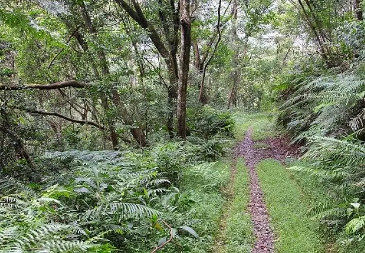林美石磐步道 林美石磐步道