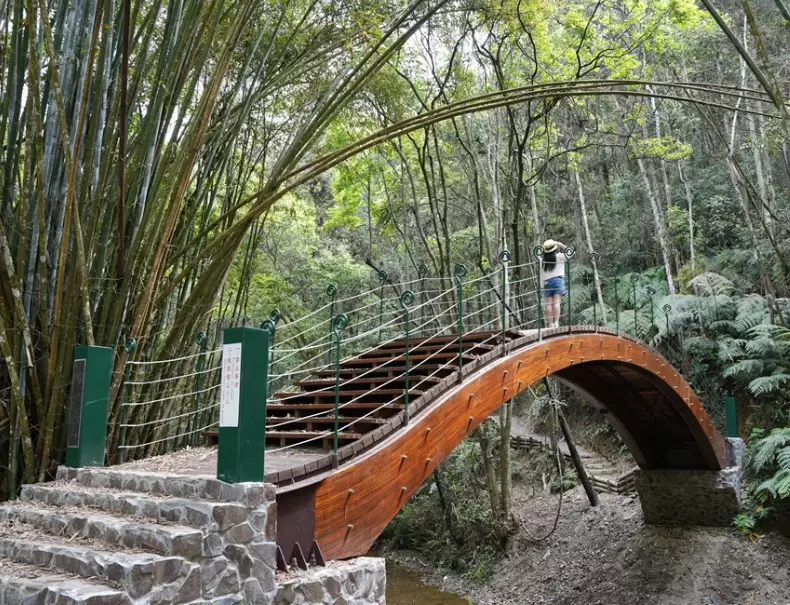 澀水森林步道 澀水森林步道