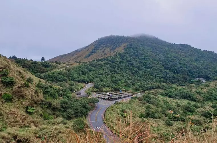 擎天崗步道 擎天崗步道