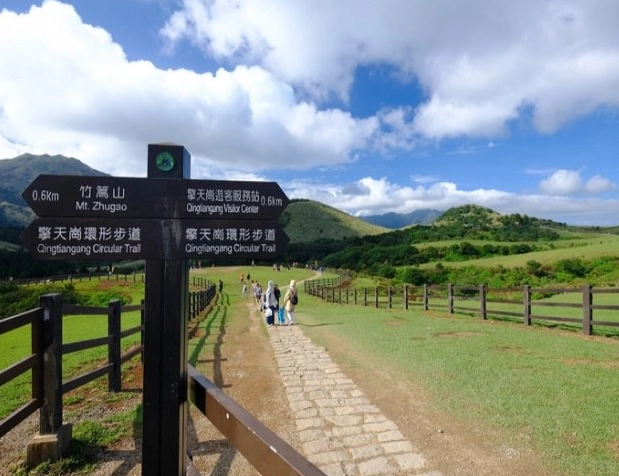 陽明山步道難度 陽明山步道難度