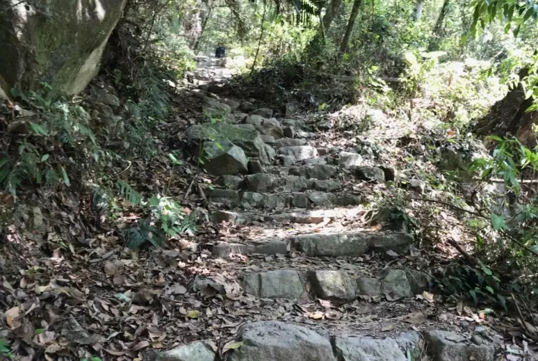 東卯山登山路線 東卯山登山路線