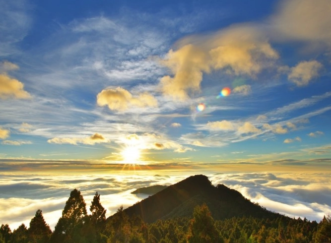 阿里山自駕 阿里山自駕