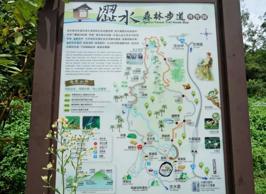 涩水森林步道地图 涩水森林步道地图