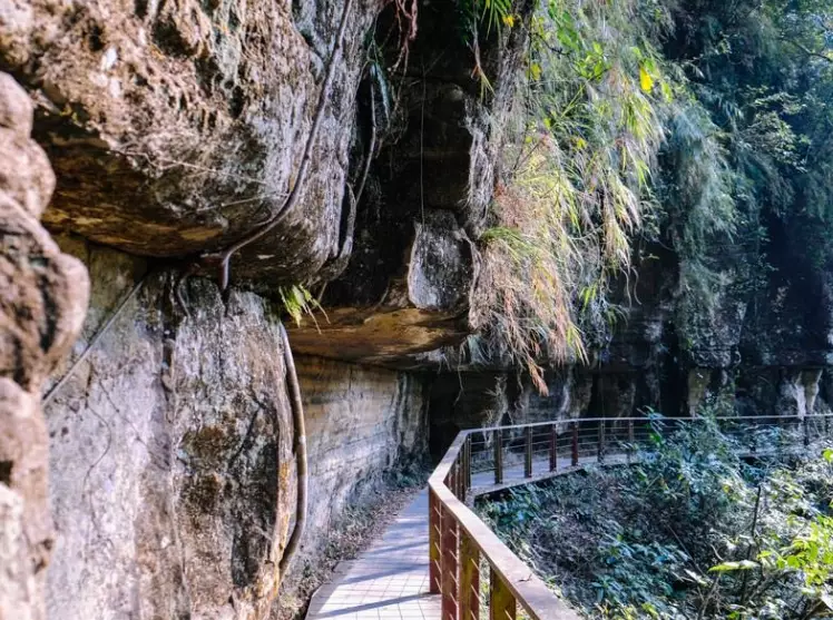竹坑溪步道 竹坑溪步道