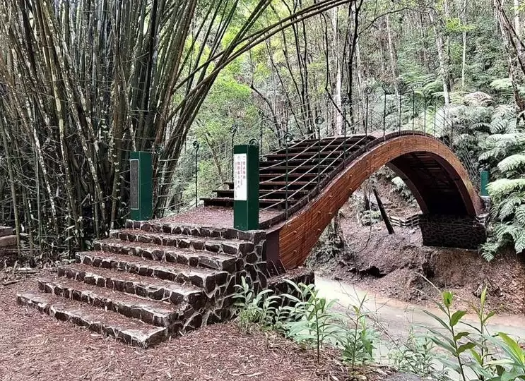 澀水森林步道 澀水森林步道