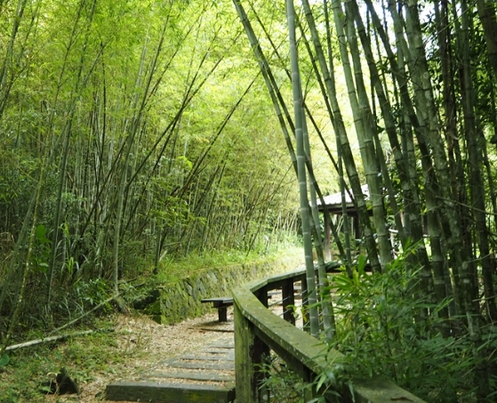 高雄健行步道 高雄健行步道