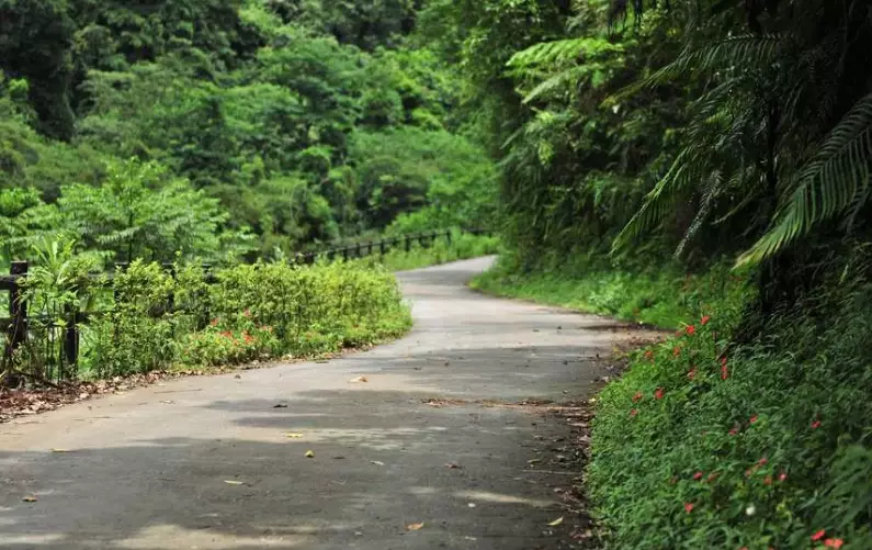 松羅步道 松羅步道