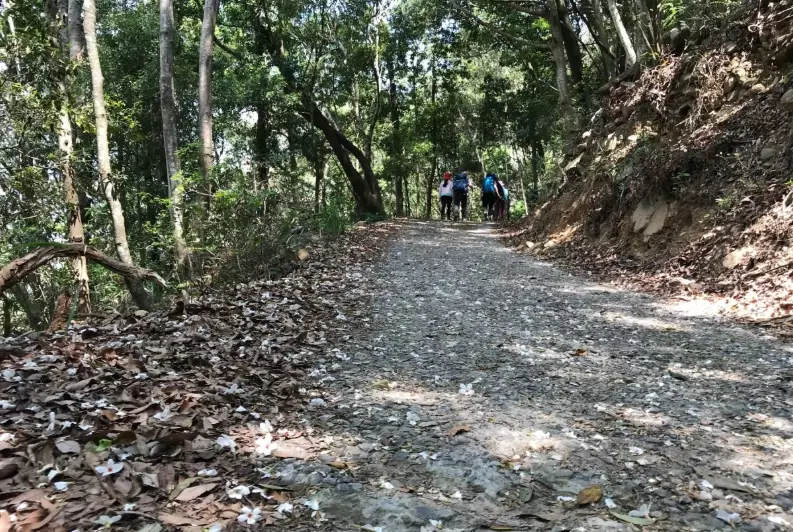 谷關七雄東卯山 谷關七雄東卯山