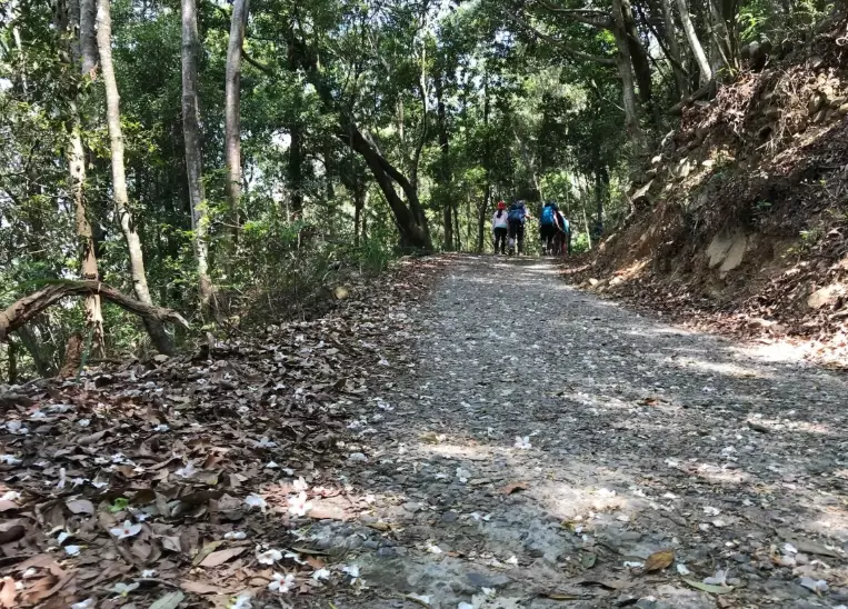 谷關七雄東卯山 谷關七雄東卯山
