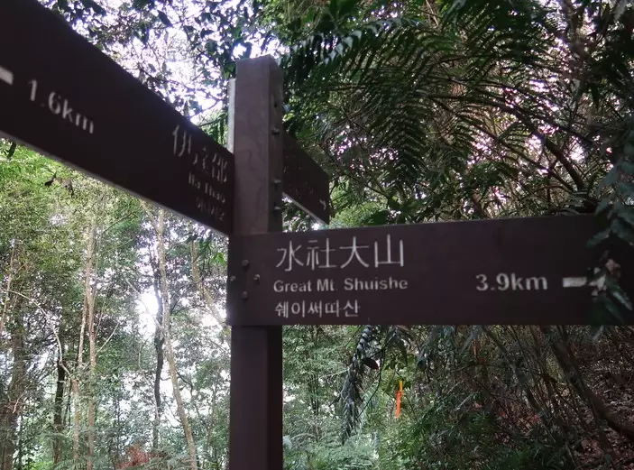 日月潭登山步道 日月潭登山步道
