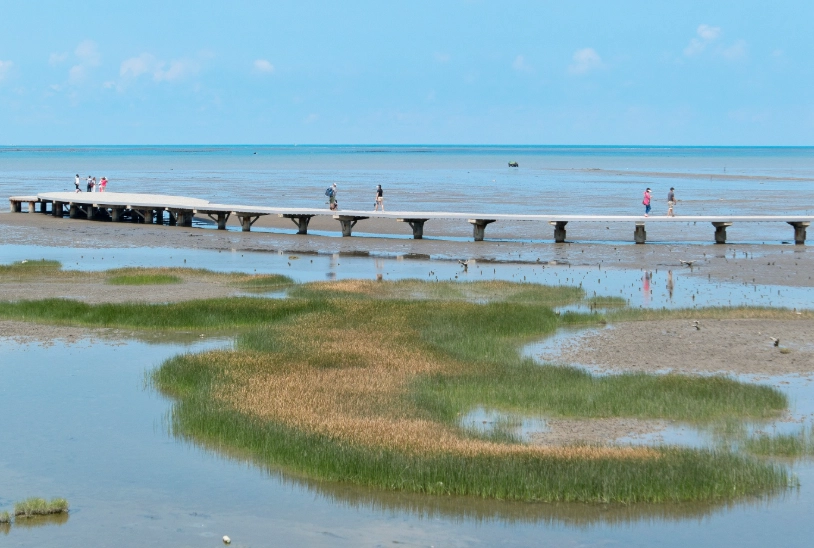 香山濕地生態 香山濕地生態