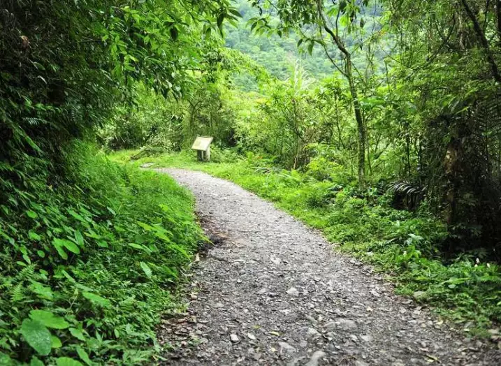 太平山森林遊樂區 太平山森林遊樂區