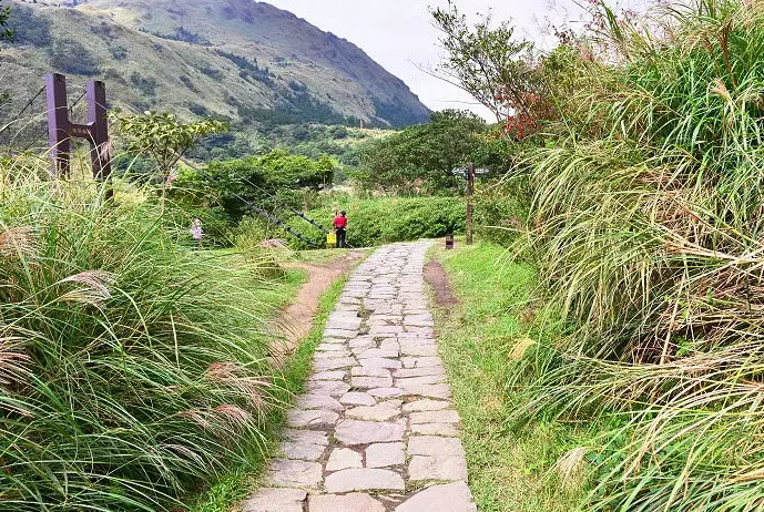 陽明山一日遊 陽明山一日遊