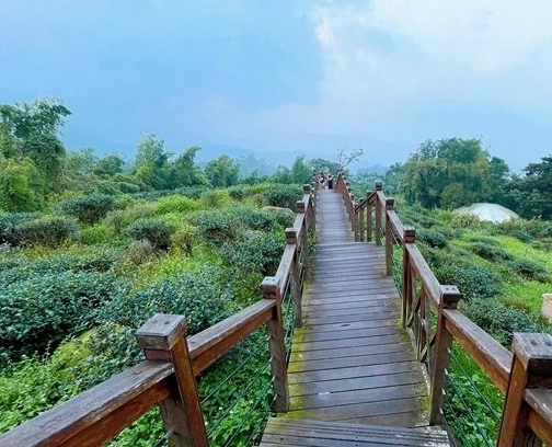 梅山步道 梅山步道