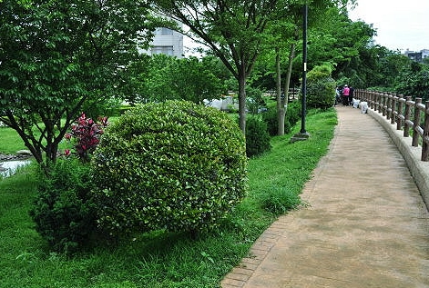 中壢步道 中壢步道
