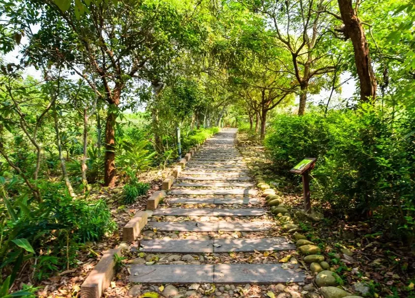 竹坑南寮登山古道 竹坑南寮登山古道